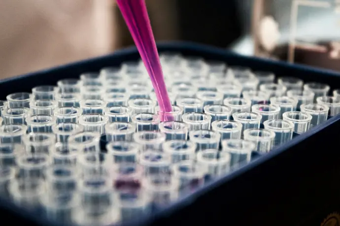 PCR in tempo reale